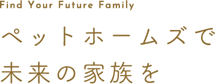 ペットホームズで未来の家族を